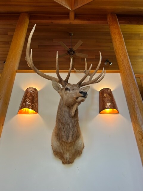 Campaign cover image for GWA Online Auction