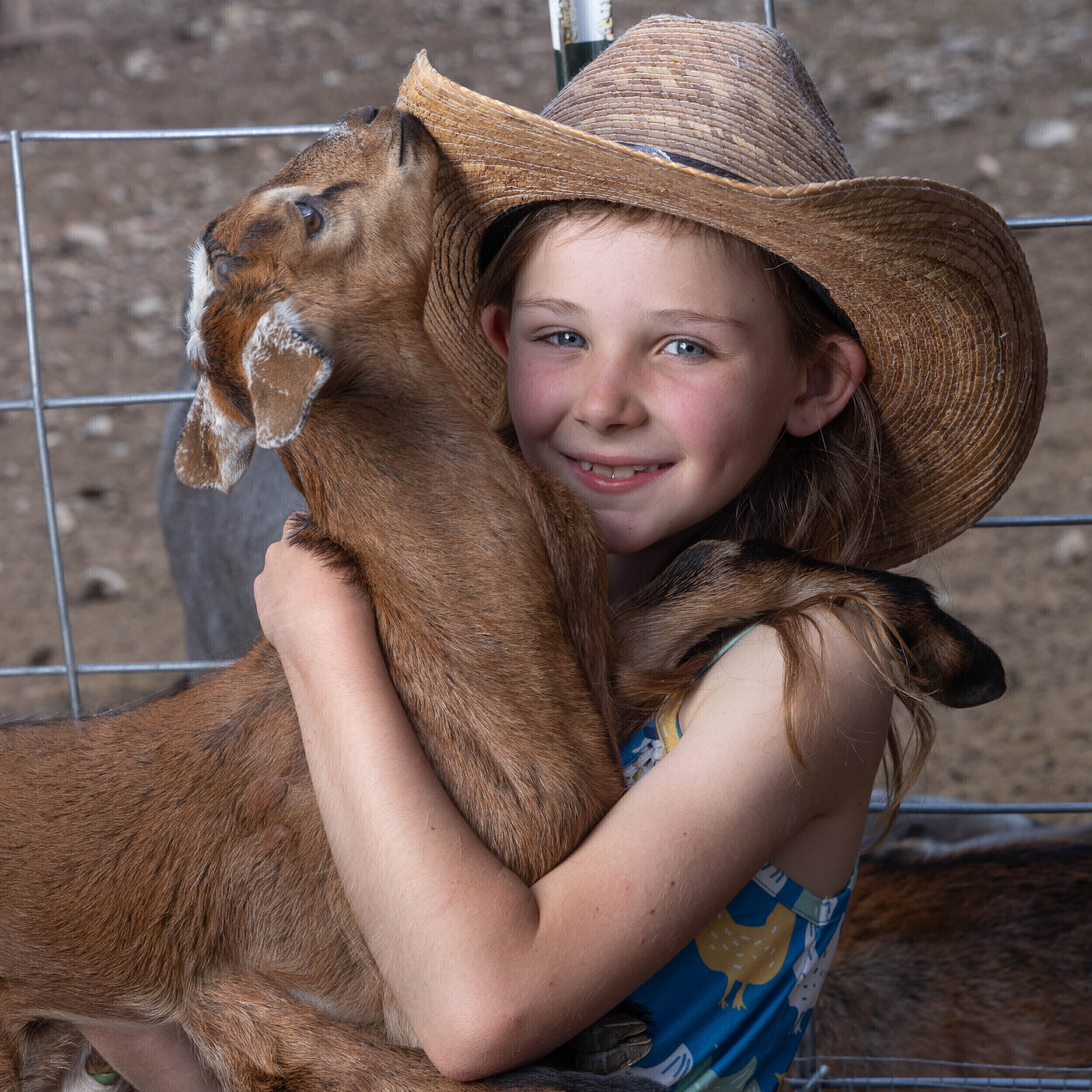 Campaign cover image for Auction