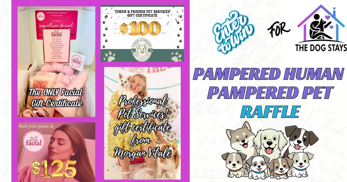Campaign cover image for 🎉 THE ULTIMATE PAMPERED HUMAN • PAMPERED PET RAFFLE!