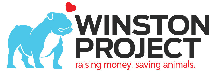 Campaign cover image for Winston's Warriors