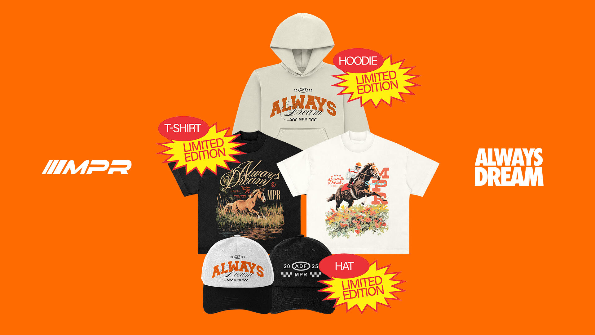 Campaign cover image for Second Chances Start Here! 🐎