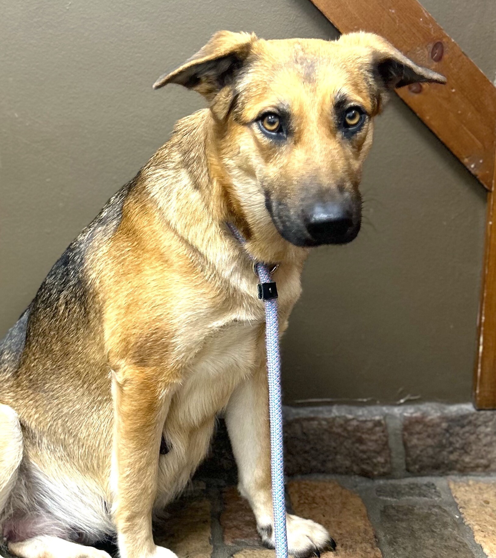 Campaign cover image for HELP COVER VICENTA’S LIFE-SAVING SURGERY!