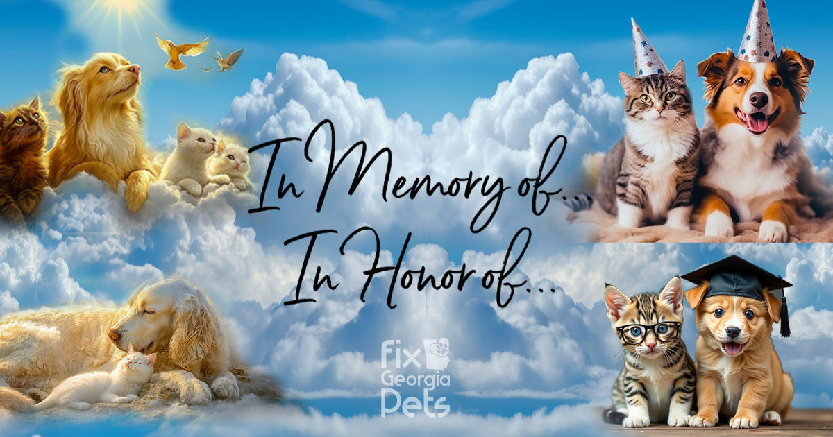 Campaign cover for Tribute Gifts