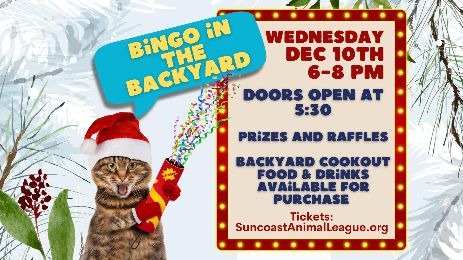 Campaign cover image for Dec 10 - Bingo in the Backyard