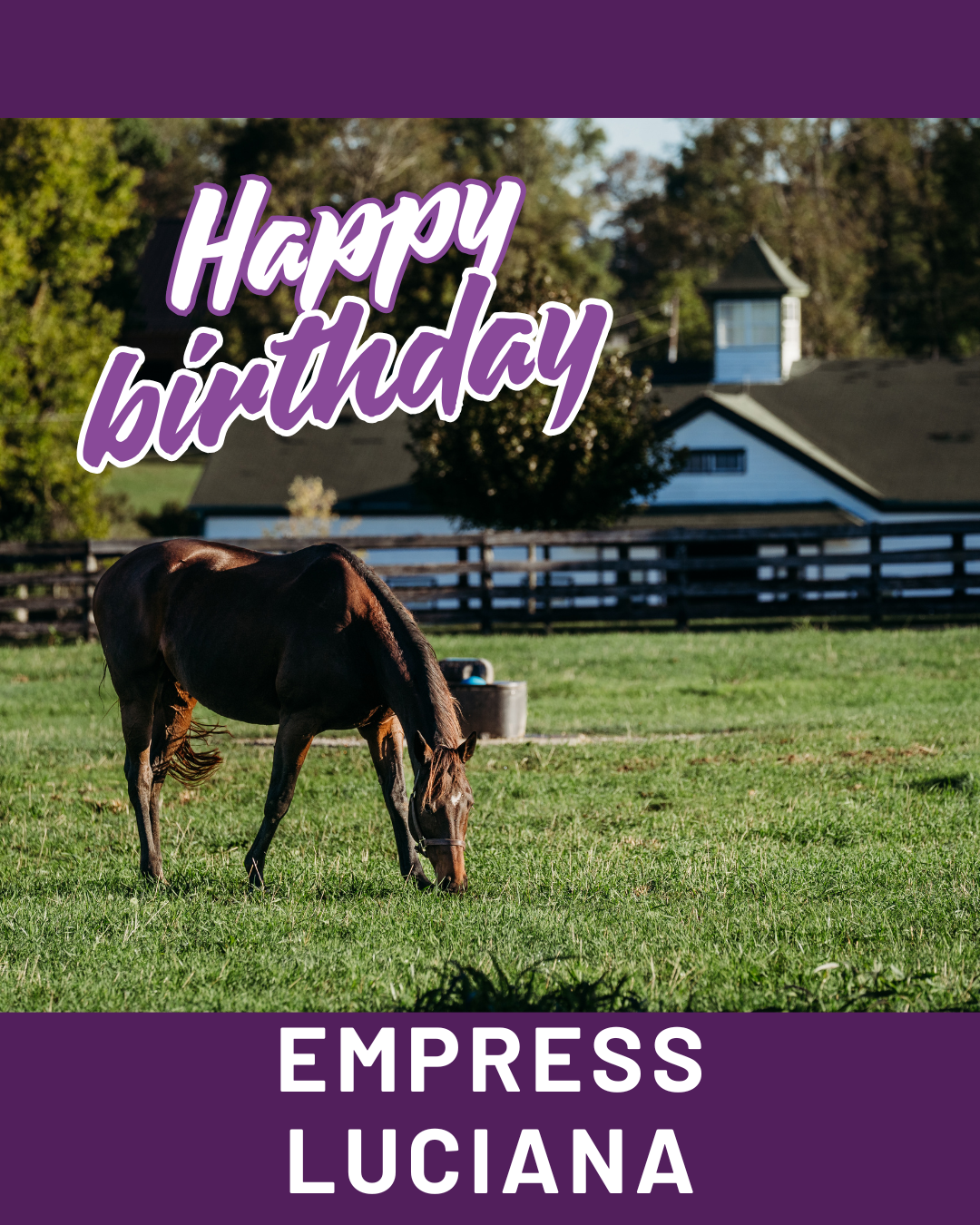 Campaign cover image for Empress Luciana Birthday