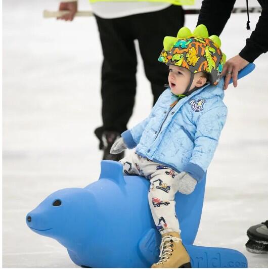 Campaign cover image for Adaptive Skating Equipment