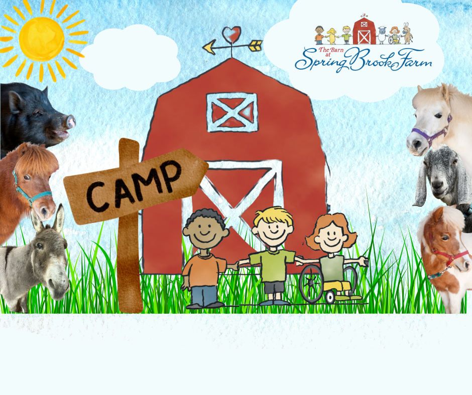 Campaign cover image for Camp Geronimo