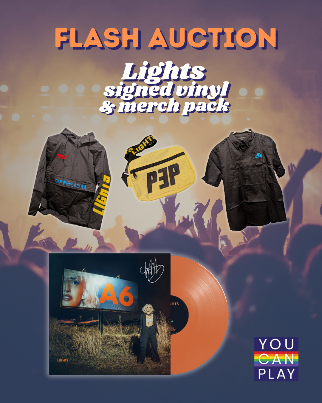 Campaign cover image for 2025 Lights + YCP Auction