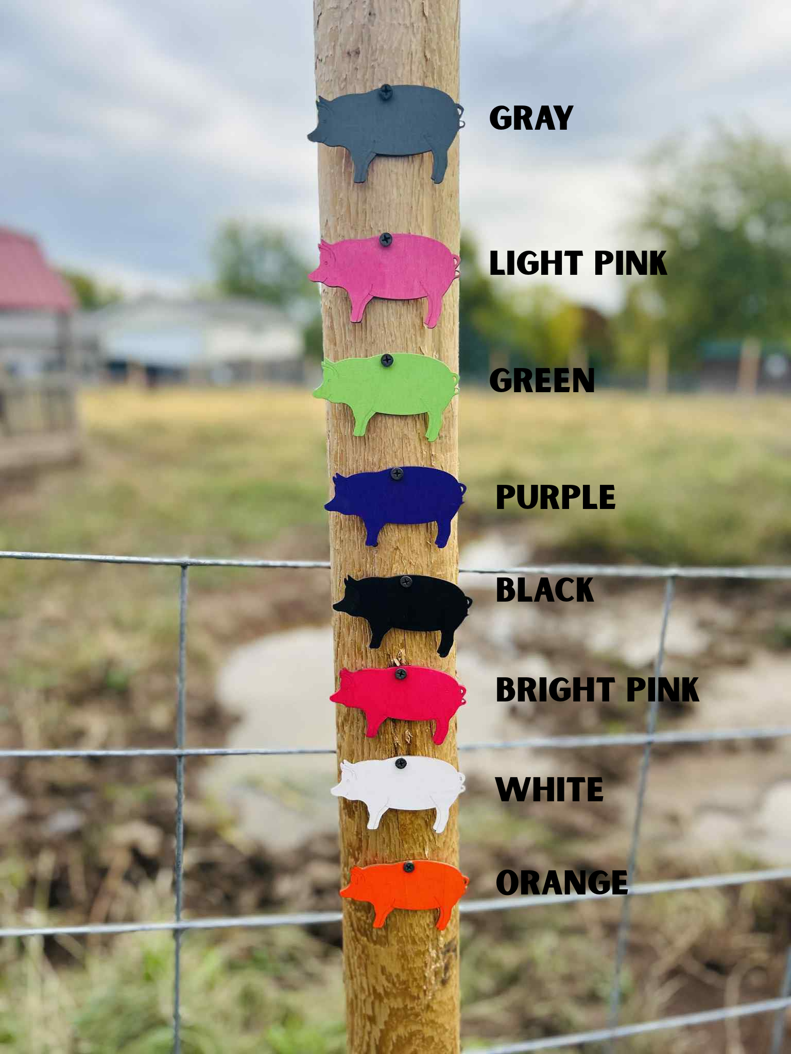 Campaign cover for Fence Post Dedication