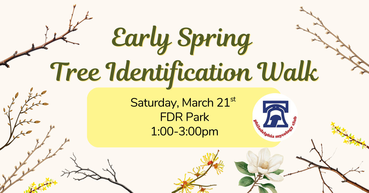 Campaign cover image for Tree ID Walk at FDR Park