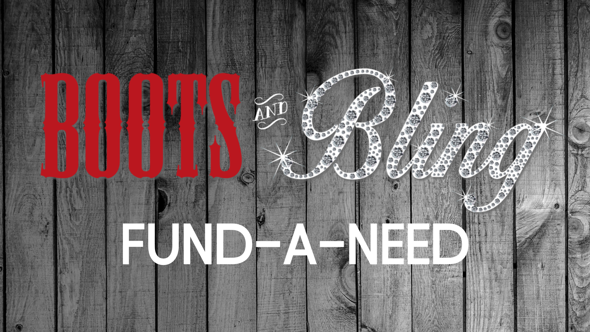 Campaign cover image for Boots & Bling 2024 Fund-A-Need