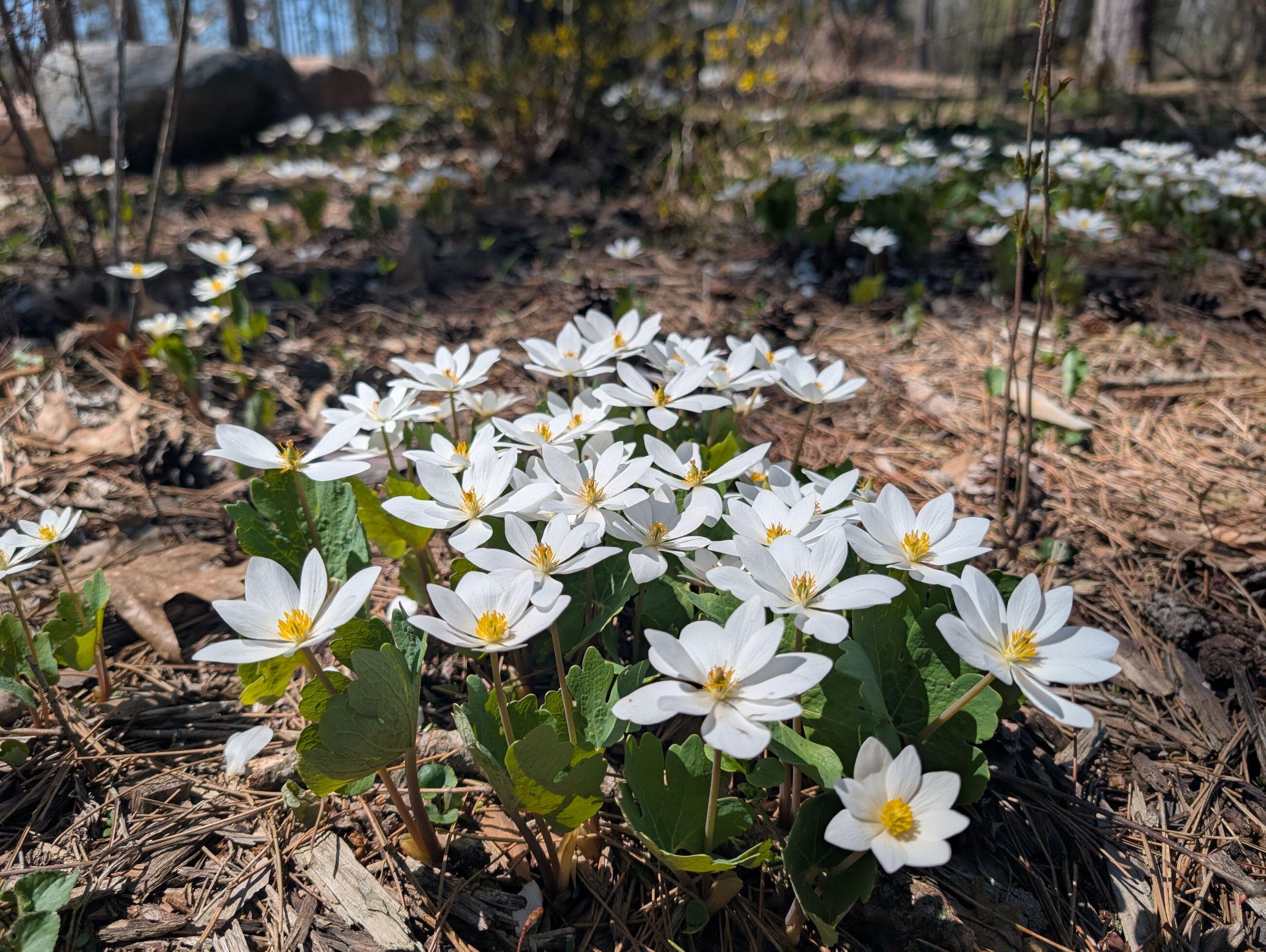 Campaign cover image for Sponsorship Opportunities