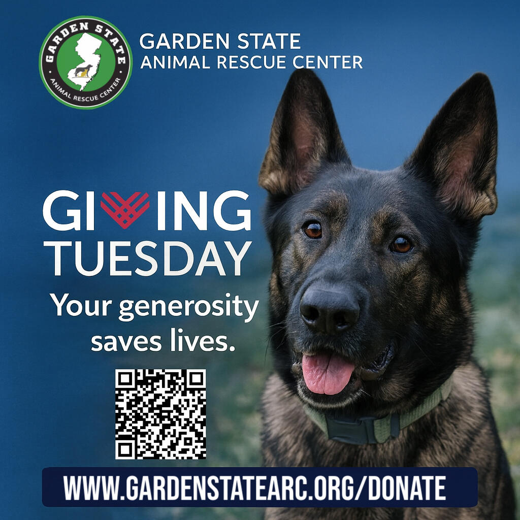 Campaign cover image for Giving Tuesday 2025