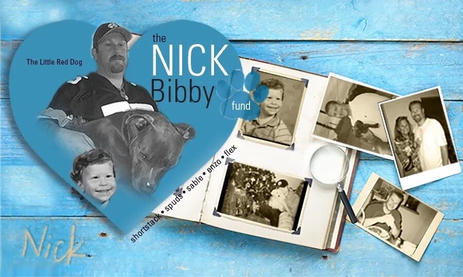 Campaign cover image for Nick Bibby Fund