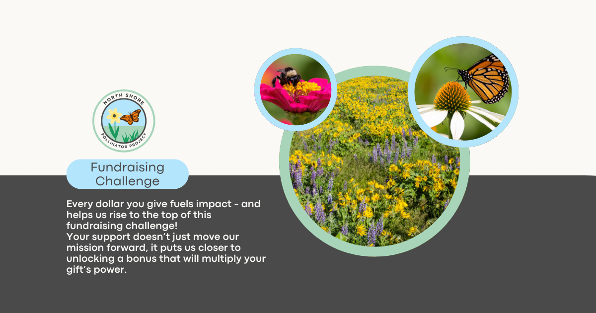 North Shore Pollinator Project Fundraising Challenge | North Shore ...
