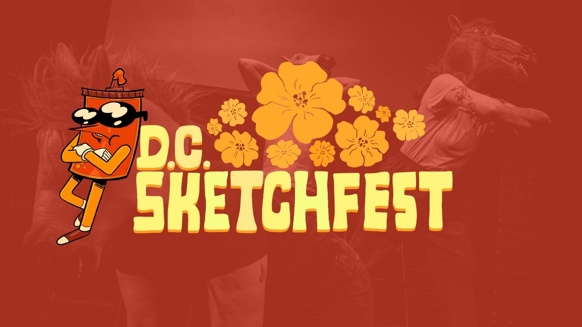 Campaign cover image for DC Sketchfest 2027 Fundraiser