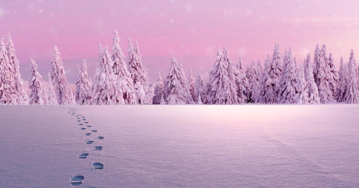 Campaign cover image for Together, we sustain the peace. #GiveForDV