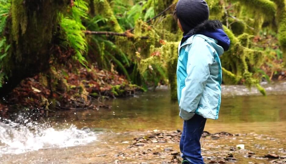 Campaign cover image for Support Students. Support Salmon.