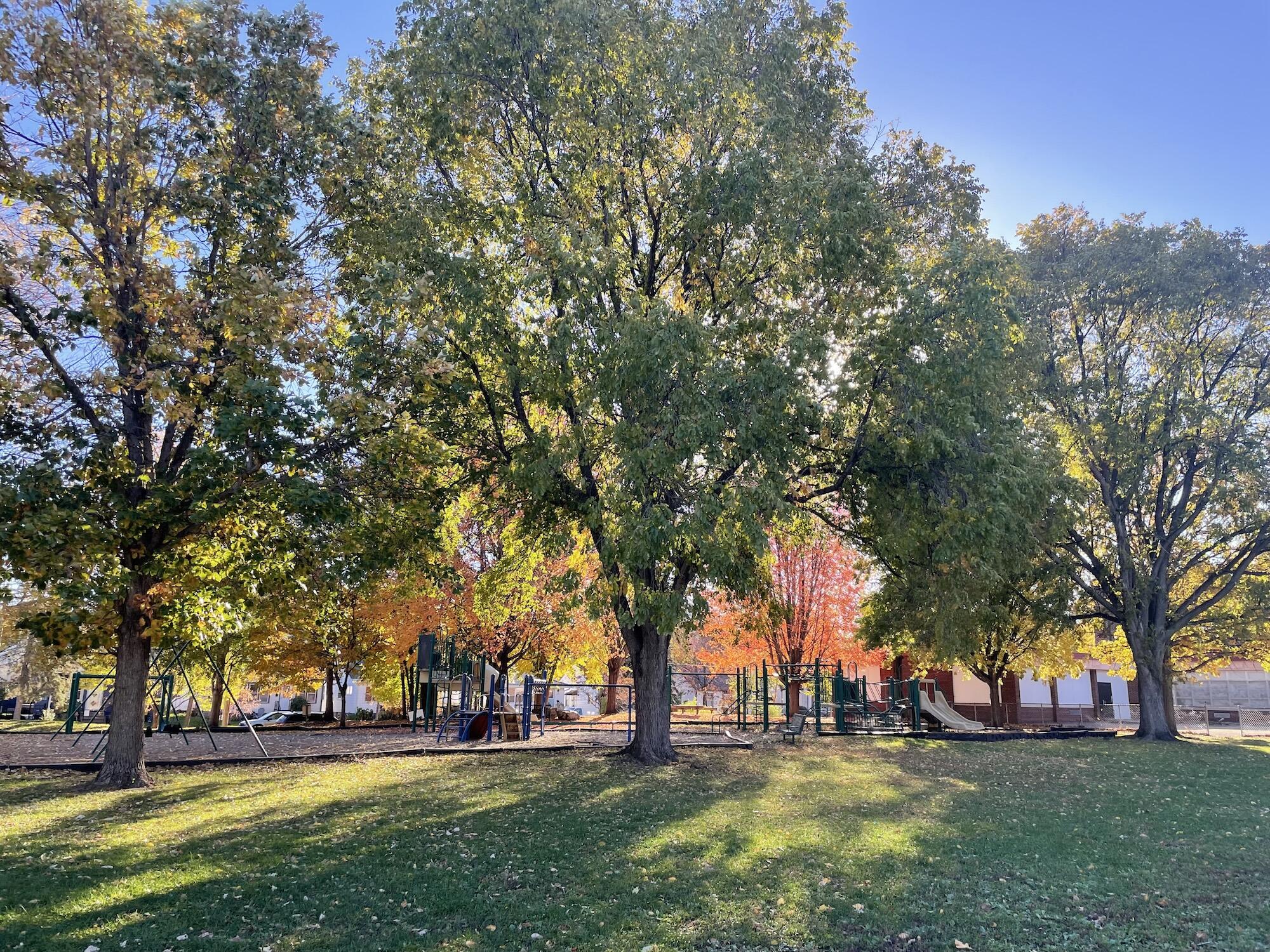 Campaign cover for Cooper Playground Picnic Tables
