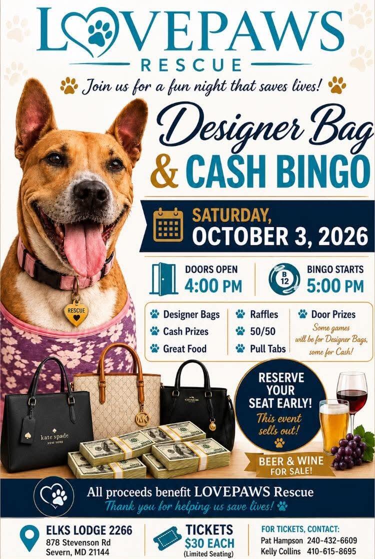 Campaign cover image for LOVEPAWS Designer Bag Bingo