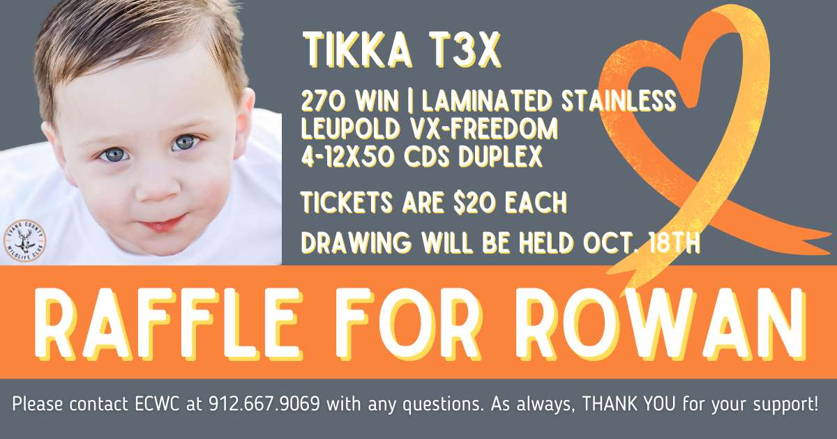 Campaign cover image for Raffle for Rowan