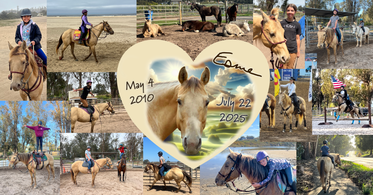 Campaign cover image for Help Esme Heal – A Special Fundraiser for Her Recovery