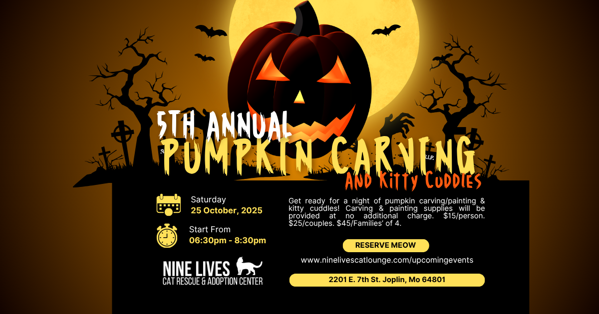 Campaign cover image for 5th Annual Pumpkin Carving