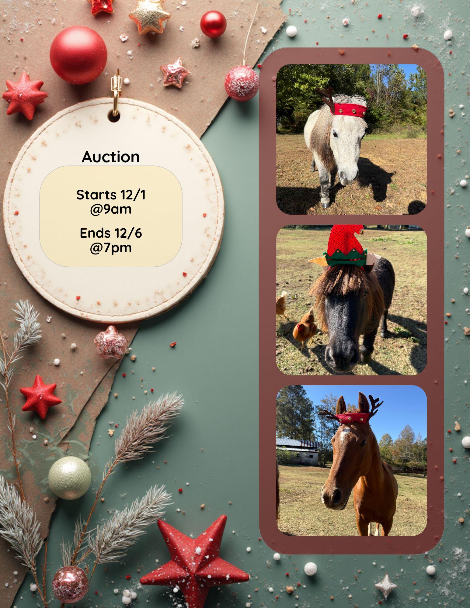 Campaign cover image for Solia Farm's 3rd Annual Holiday Benefit Auction