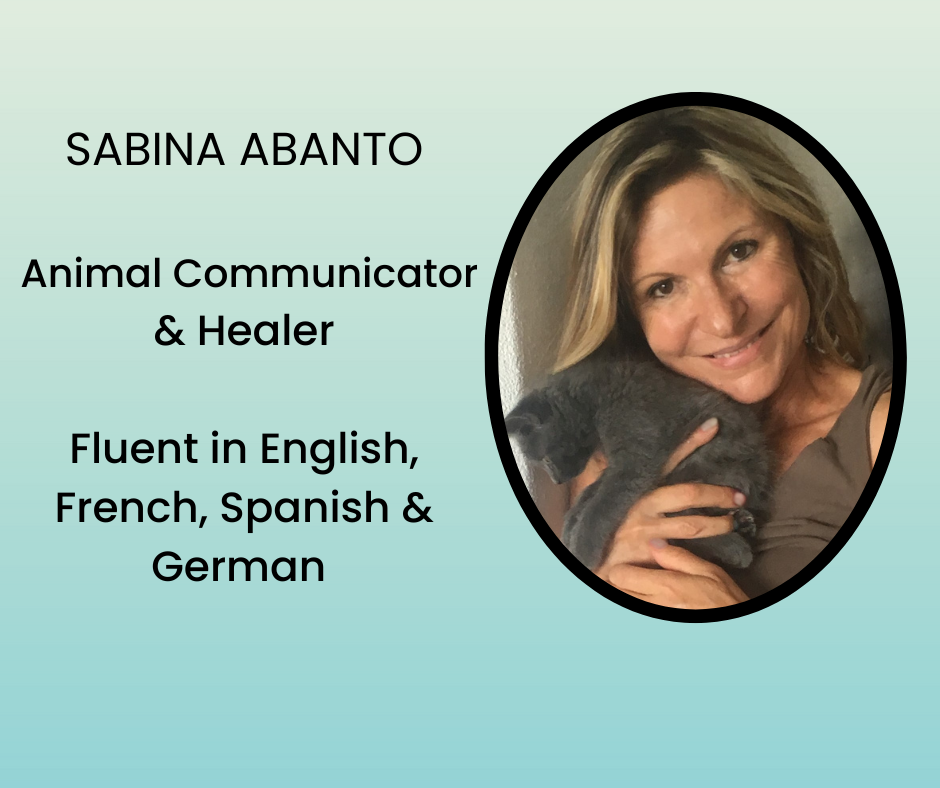 Campaign cover image for Sabina Abanto