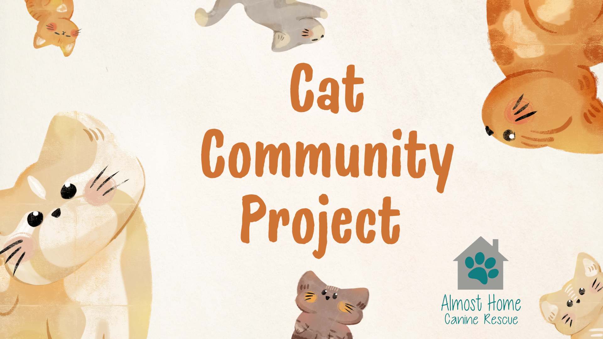 Campaign cover for AHCR Cat Community Rescue Project