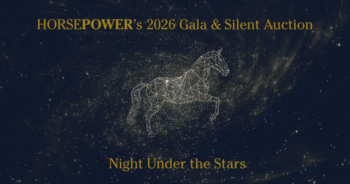 Campaign cover image for 2026 Annual Gala & Silent Auction