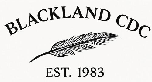 Campaign cover image for Blackland Community Development Corporation