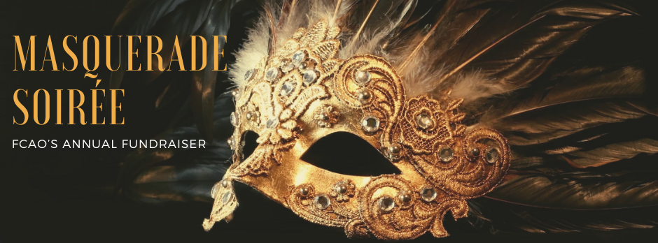 Campaign cover image for Masquerade Soirée
