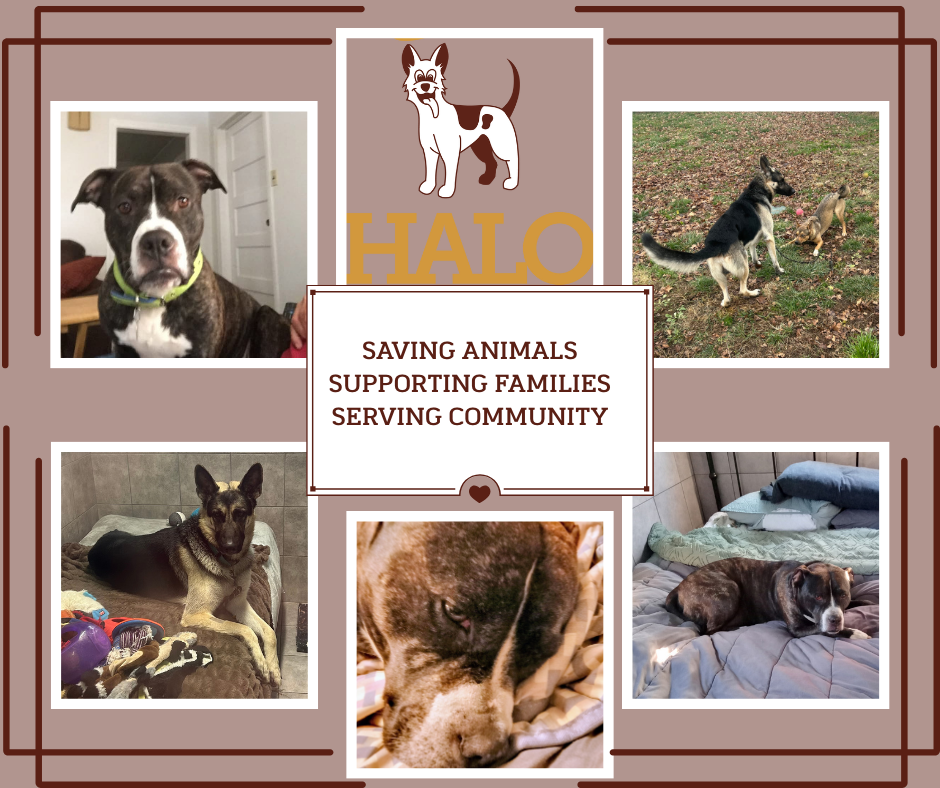 Campaign cover image for End of Year Appeal