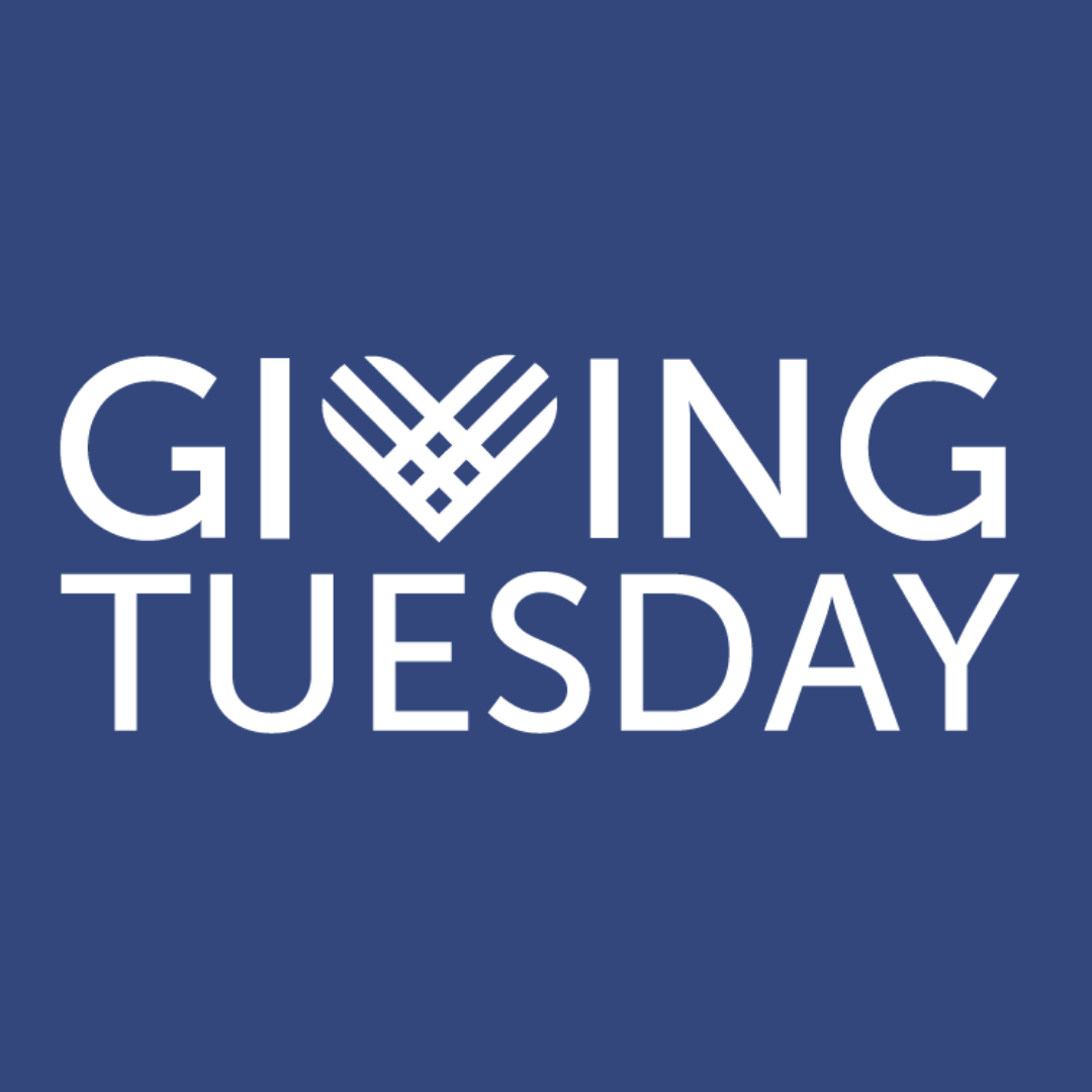 Campaign cover image for AWC Giving Tuesday 2025