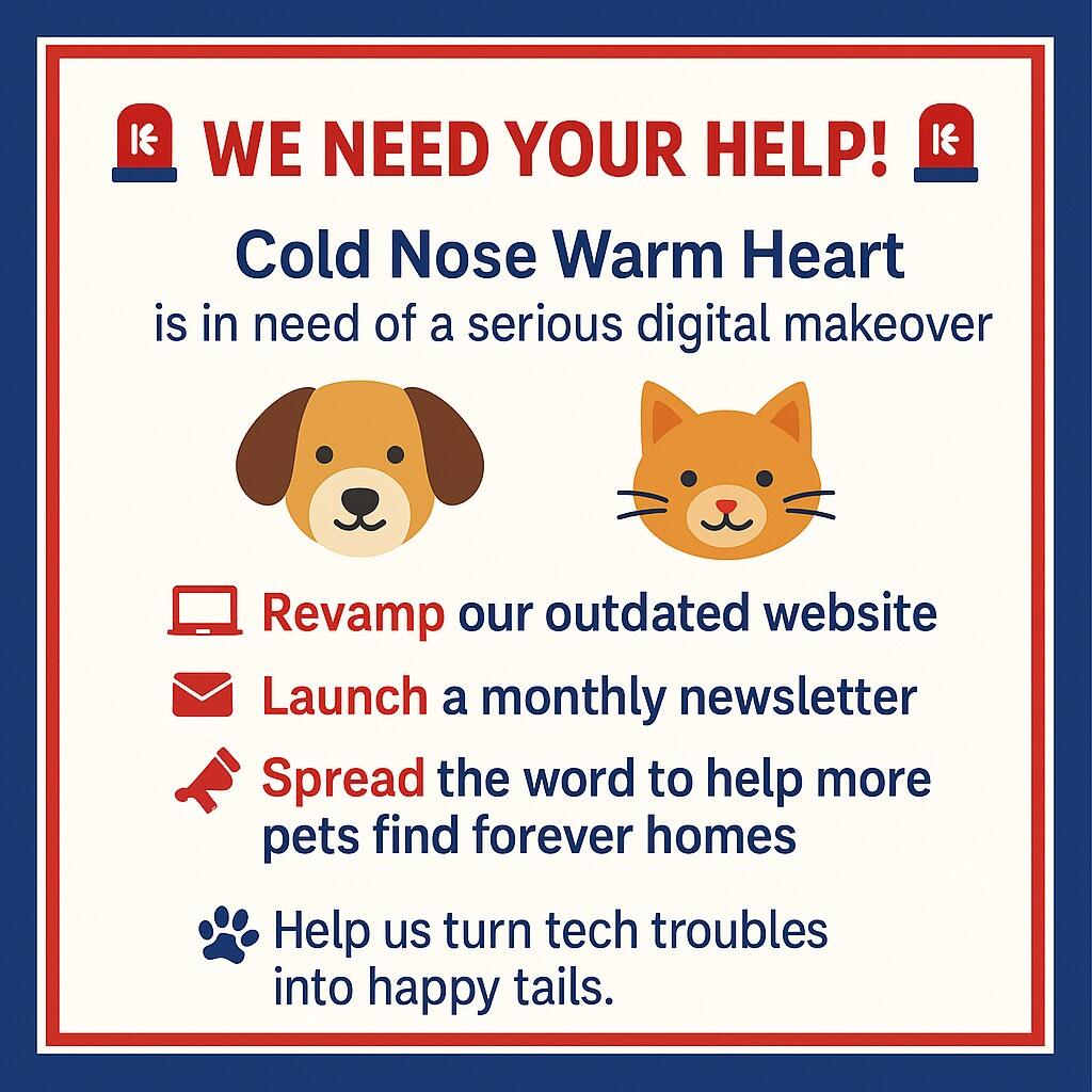 Campaign cover image for Help Us Modernize Our Online Presence