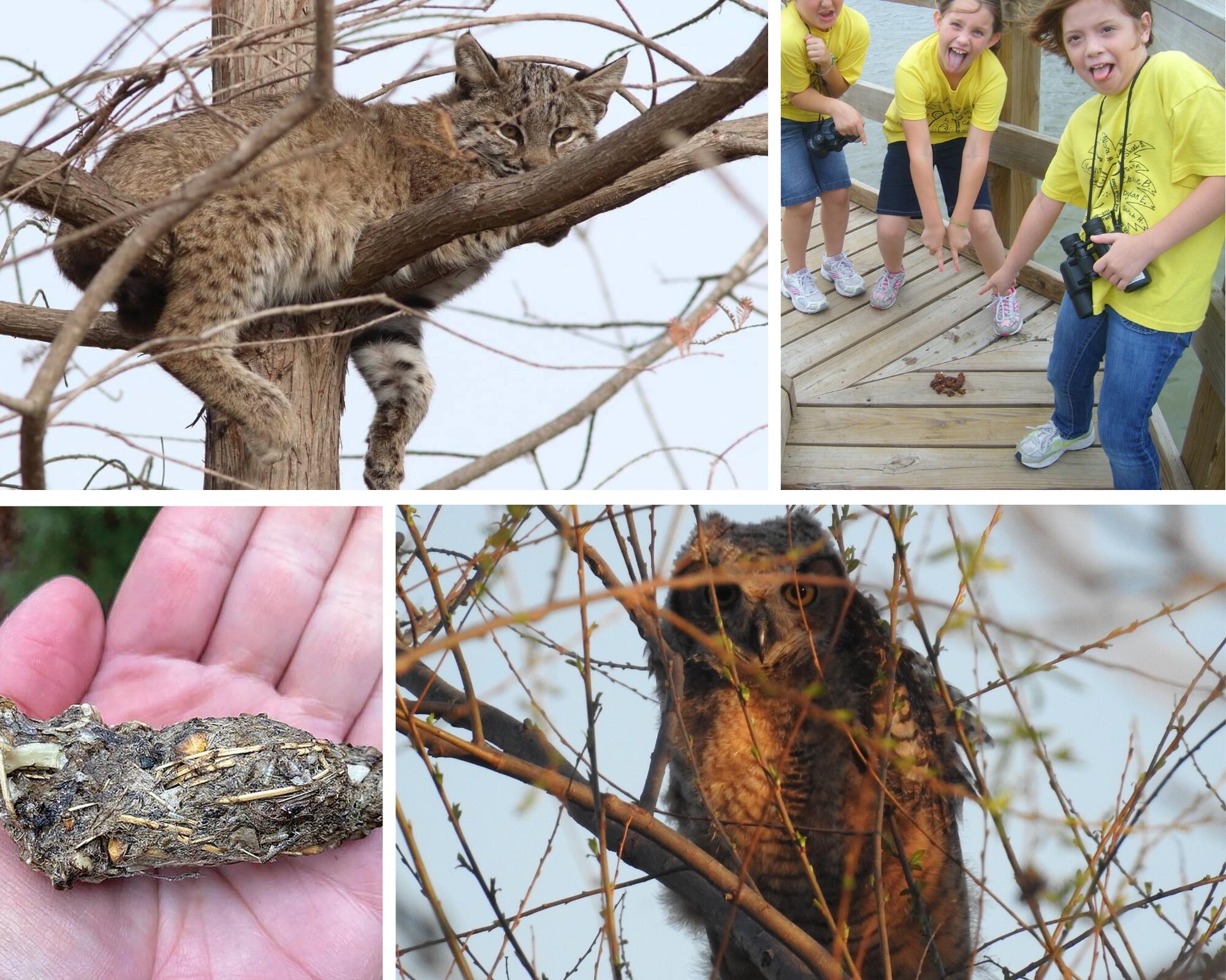 Campaign cover image for Homeschool Outdoors -- We Love a Wild Classroom!