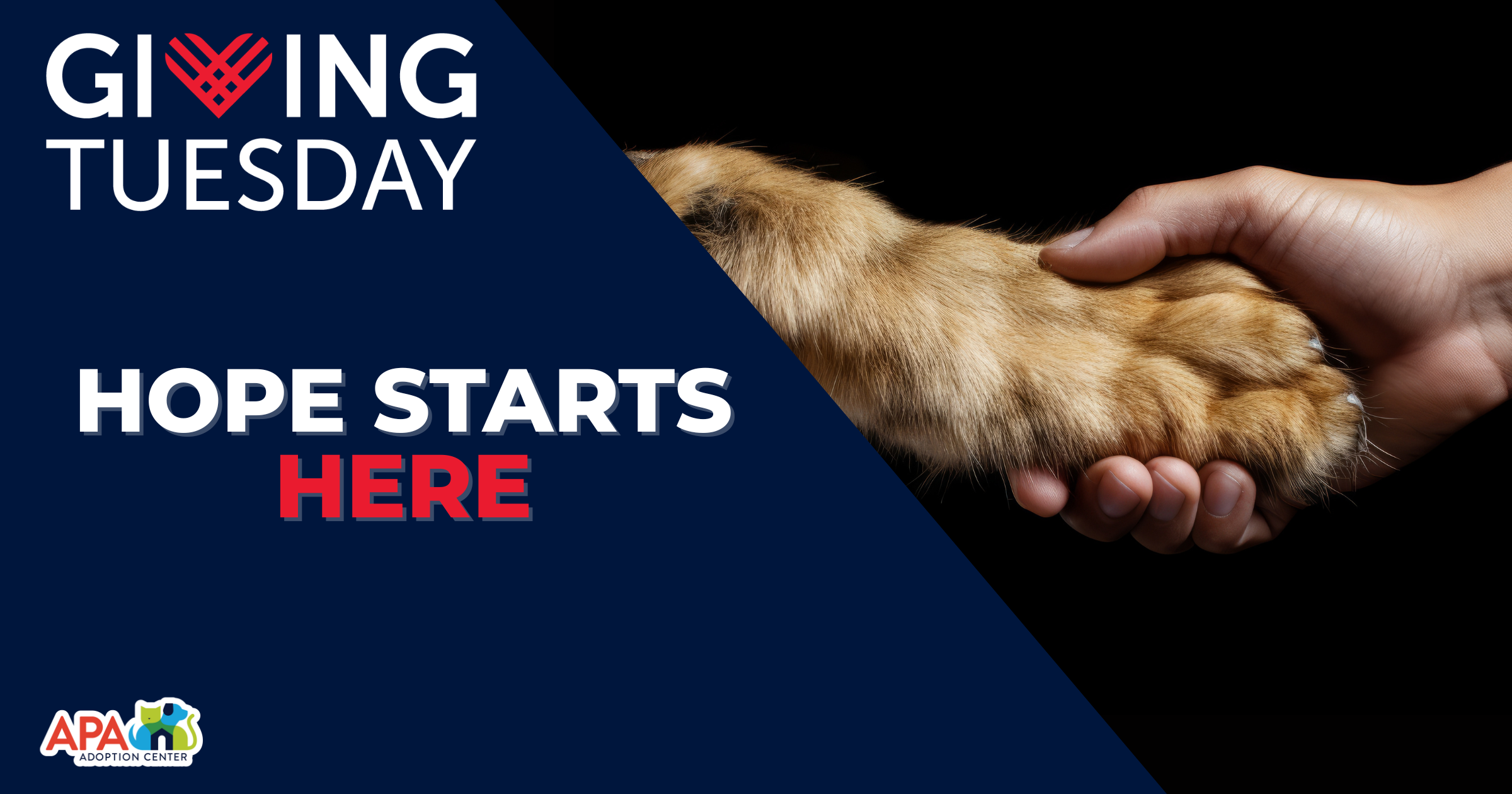 Campaign cover image for Giving Tuesday 2025