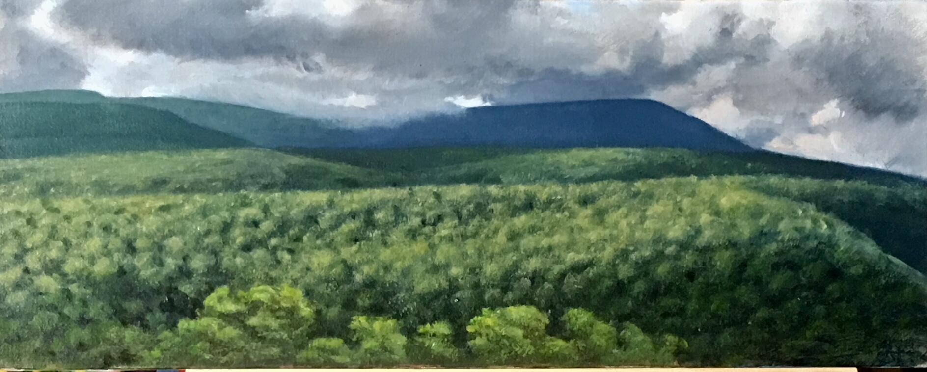 Campaign cover image for 2025 Raffle- Every Child Deserves Camp