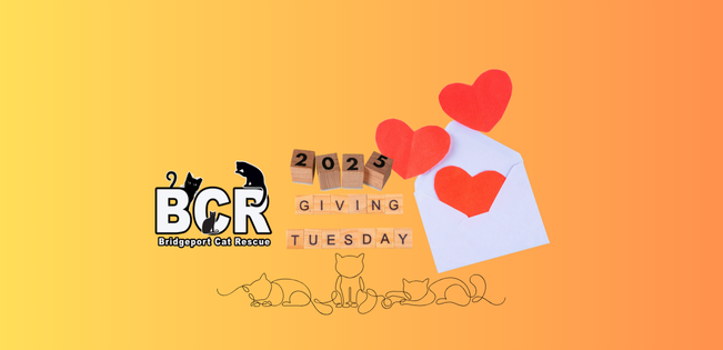 Campaign cover image for GIVING TUESDAY 2025