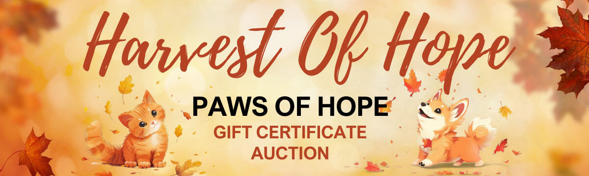 Campaign cover image for Harvest of Hope