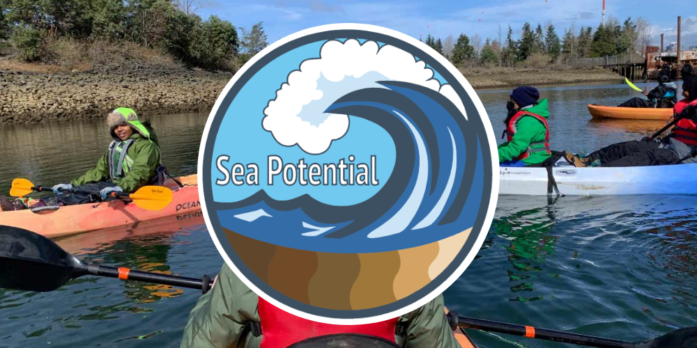 Campaign cover image for Sea Potential