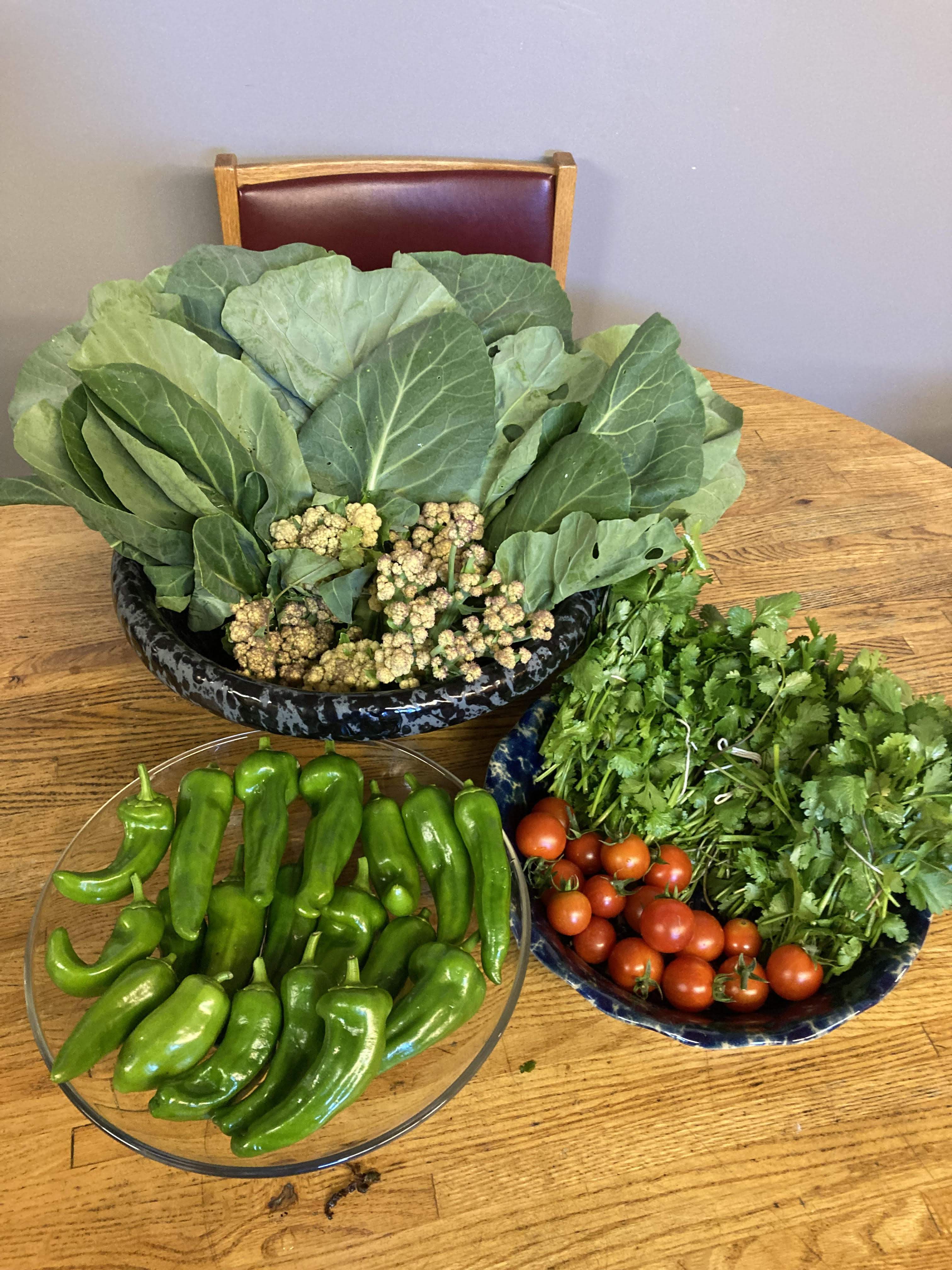 Campaign cover image for Food Support for Bennington Refugee Families