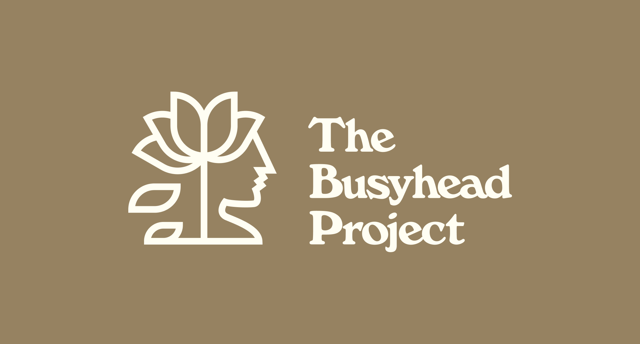 Campaign cover image for The Busyhead Project