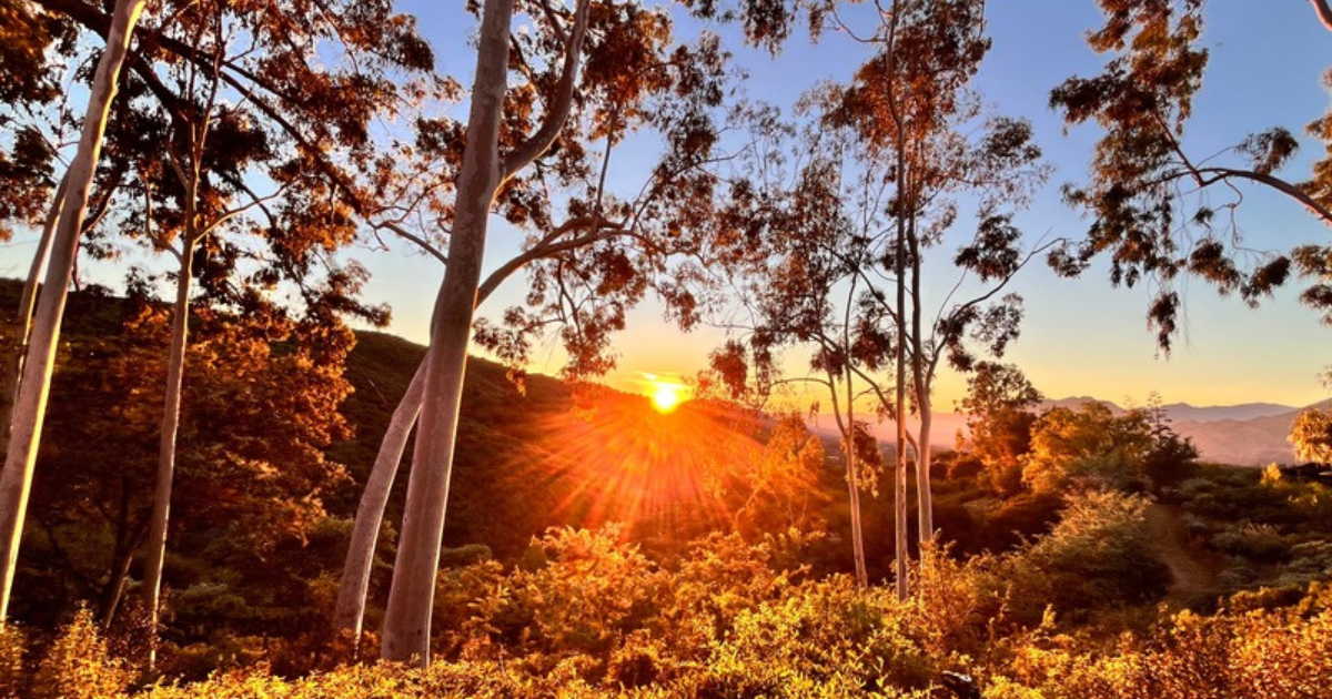 Campaign cover image for Sponsorship Fund