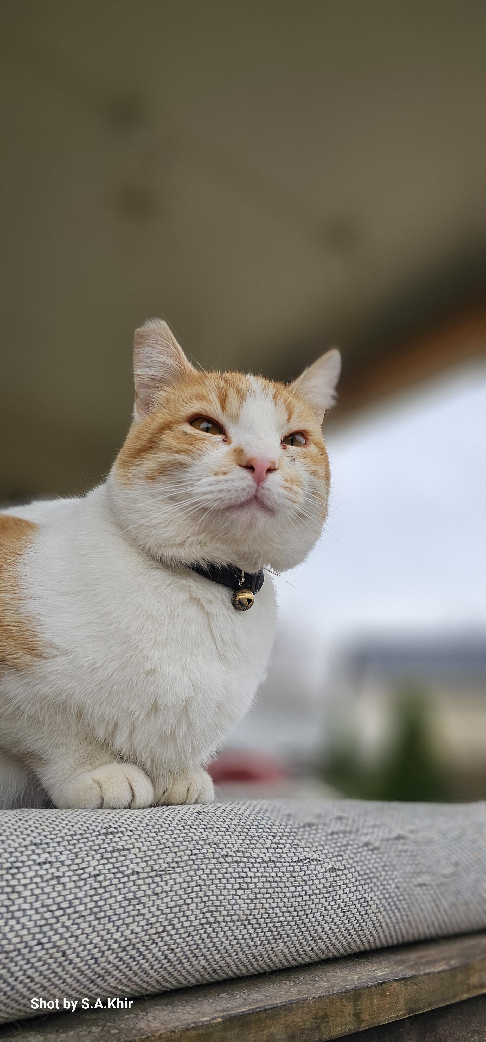 Campaign cover image for Giving Tuesday