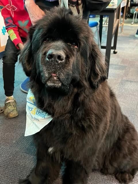 Campaign cover image for Thomas Gregg 5th Grade Art Show