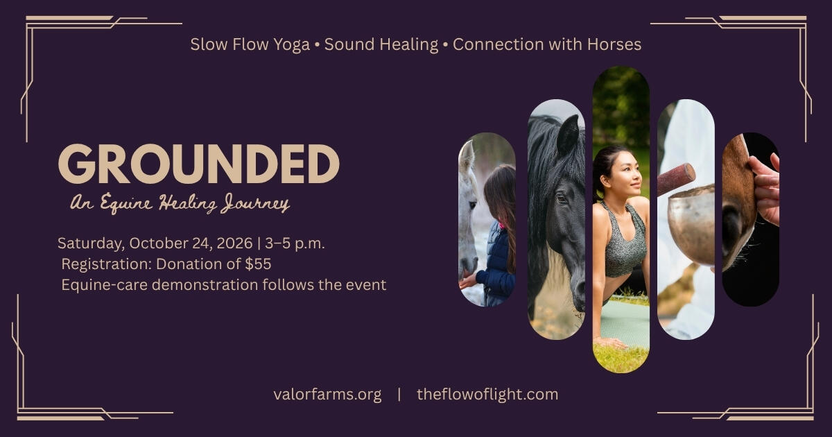 Campaign cover image for Grounded | An Equine Healing Journey