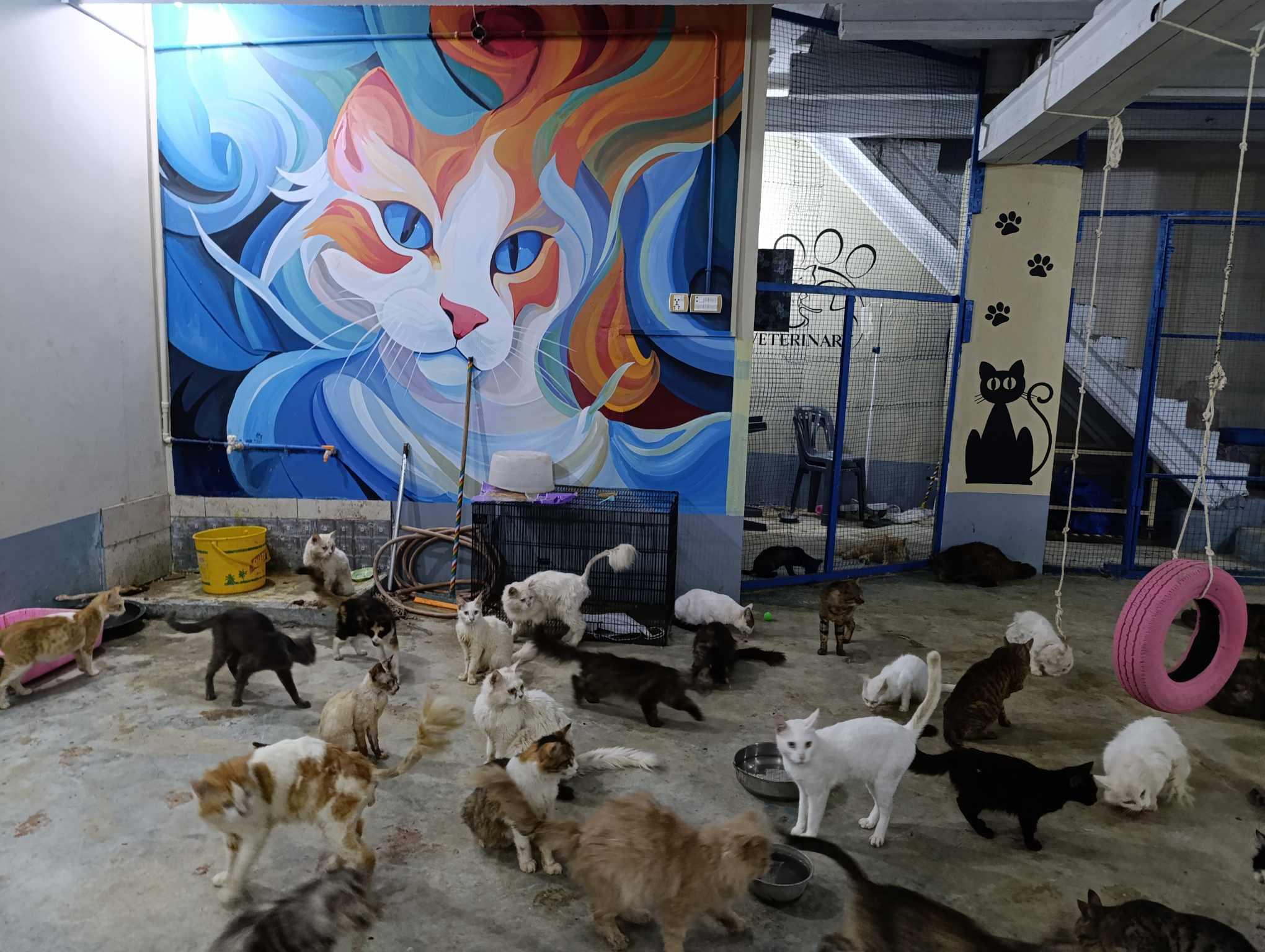 Pen Rescue Center Urgent Rent Payment for Pet Rescue Center