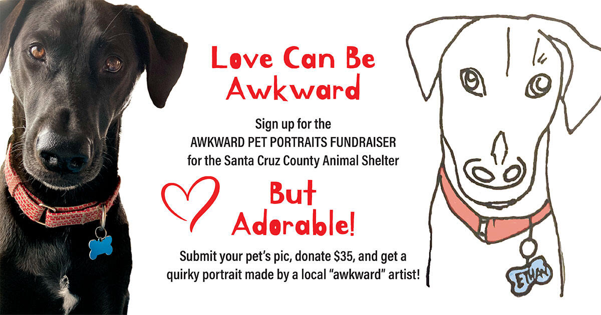 Campaign cover image for Awkward Pet Portraits 2026